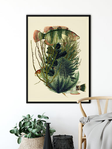 Dybdahl Poster - Green Fishes Art Prints Dybdahl Brand_Dybdahl Home_Decor KTFWHS New Arrivals Fish_and_weeds_5602_styling_1800x1800_b18b4724-9f05-41c9-bae4-23c056cee021