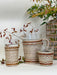 Brown Striped Seagrass Pitcher (Now 25% off!) Glass Seagrass Brand_Seagrass & Rattan Kitchen_Drinkware lm New Arrivals Pitchers Seagrass Serving Pieces sepiaambiance2_713d158c-a0a3-4340-8fe3-50f95854a366