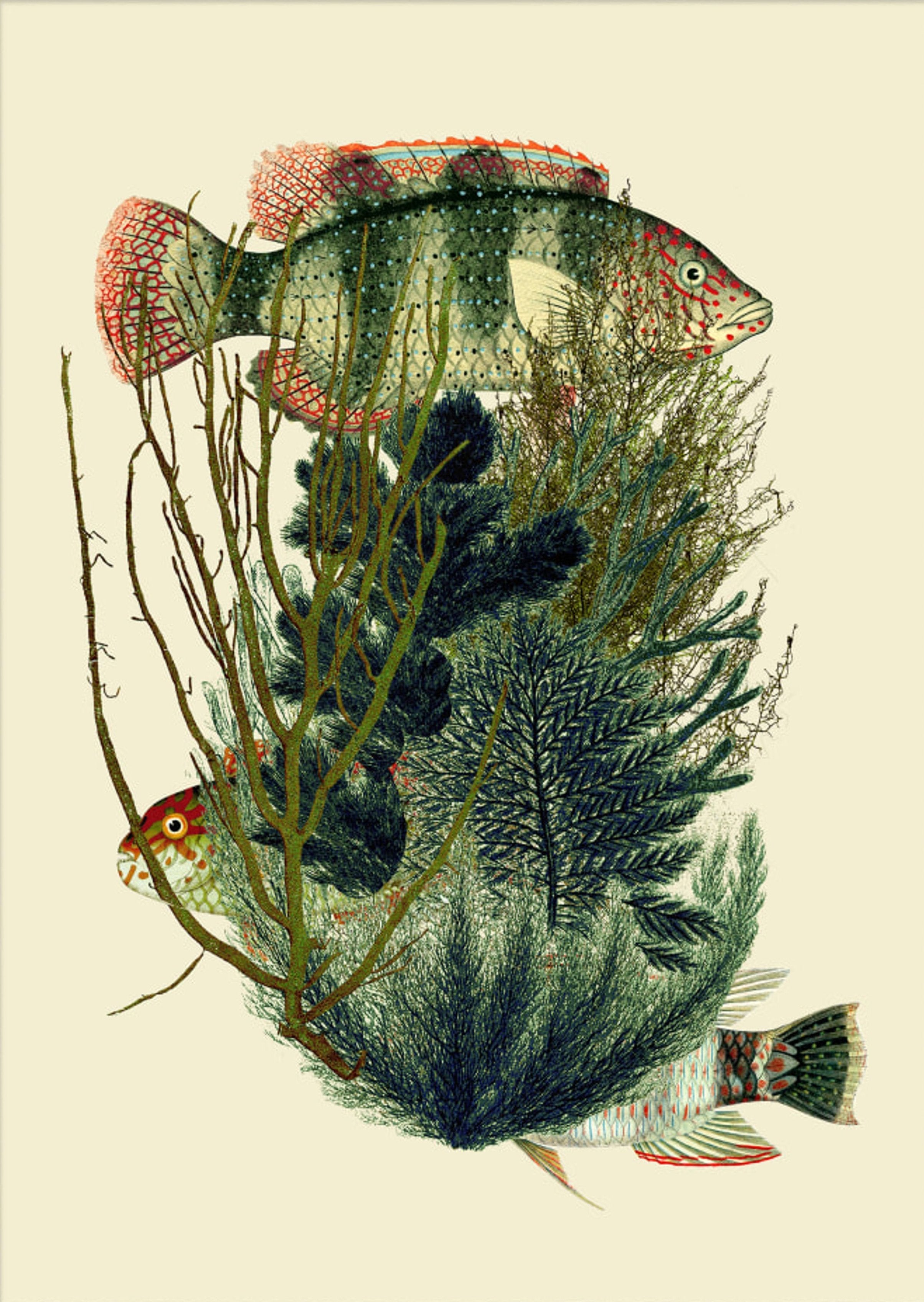 Dybdahl Poster - Green Fishes - Art Prints - Dybdahl - Brand_Dybdahl - Home_Decor - KTFWHS - New Arrivals - the-dybdahl-co-poster-fish-weed-poster