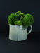 Avoine et Terre Pitcher—Oat Small Vases & Pots French Dry Goods Avoine et terre flower vase french country water pitcher French flower vase French pitcher Moroccan flower vase water pitcher Avoine_et_Terre_Oat_Pitcher-6818FDA2-2248x3000