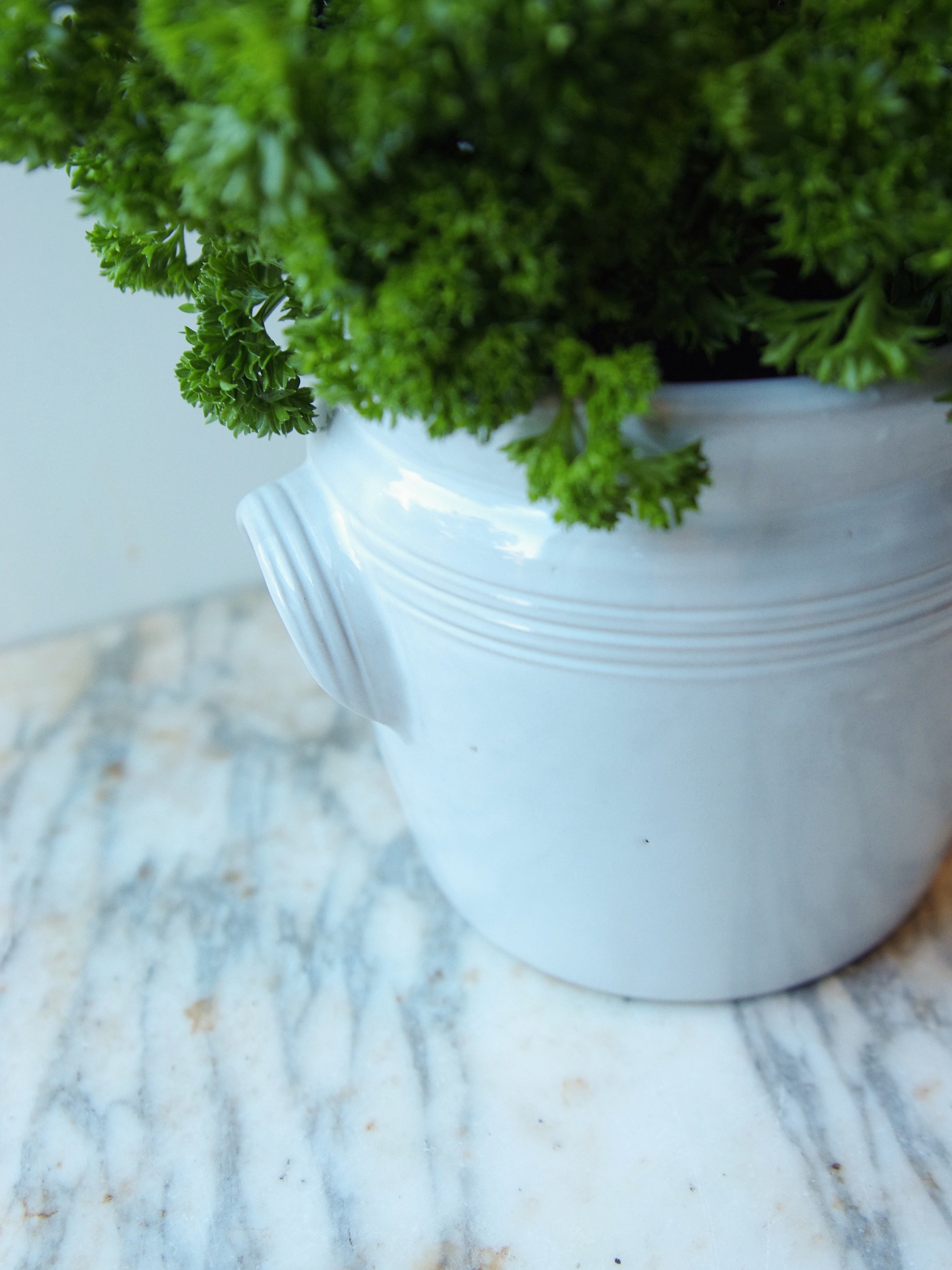 French Dry Goods Kitchen Essentials—Cutlery Crock French Dry Goods French cutlery crock French kitchen essentials New Arrivals new arrivals 2023 French_Kitchen_Essentials_Cutlery_Crock-FEB5EEC0-2248x3000