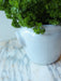 French Dry Goods Kitchen Essentials—Cutlery Crock French Dry Goods French cutlery crock French kitchen essentials New Arrivals new arrivals 2023 French_Kitchen_Essentials_Cutlery_Crock-FEB5EEC0-2248x3000