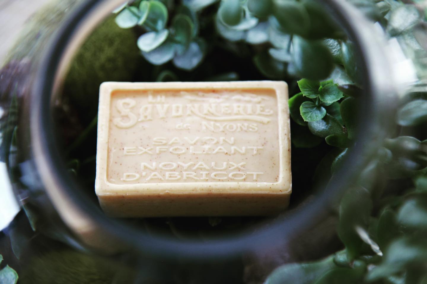La Savonnerie de Nyons 100g Exfoliating Soap Bar Noyaux Abricot (Apricot) Bath & Body La Savonnerie de Nyons 200g Soap in Tin Box Bath & Body_Bar Soap Brand_La Savonnerie de Nyons KTFWHS LaSavonneriedeNyons3800-32102100gExfoliatingSoapNoyauxAbricotApricot_6429fd2f-f05c-4cf2-a602-dfeb5acfdfdb