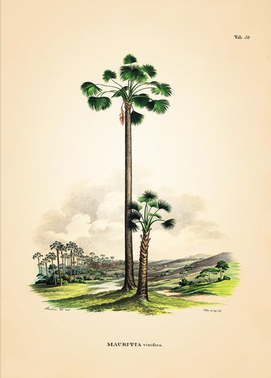 Dybdahl Poster - MAURITIA Vinifera - Art Prints - Dybdahl - Brand_Dybdahl - Home_Decor - KTFWHS - New Arrivals - 3536-Oak-Web-portrait_1800x1800_a54b4449-ebcf-4f67-9c34-61fe92c440c5