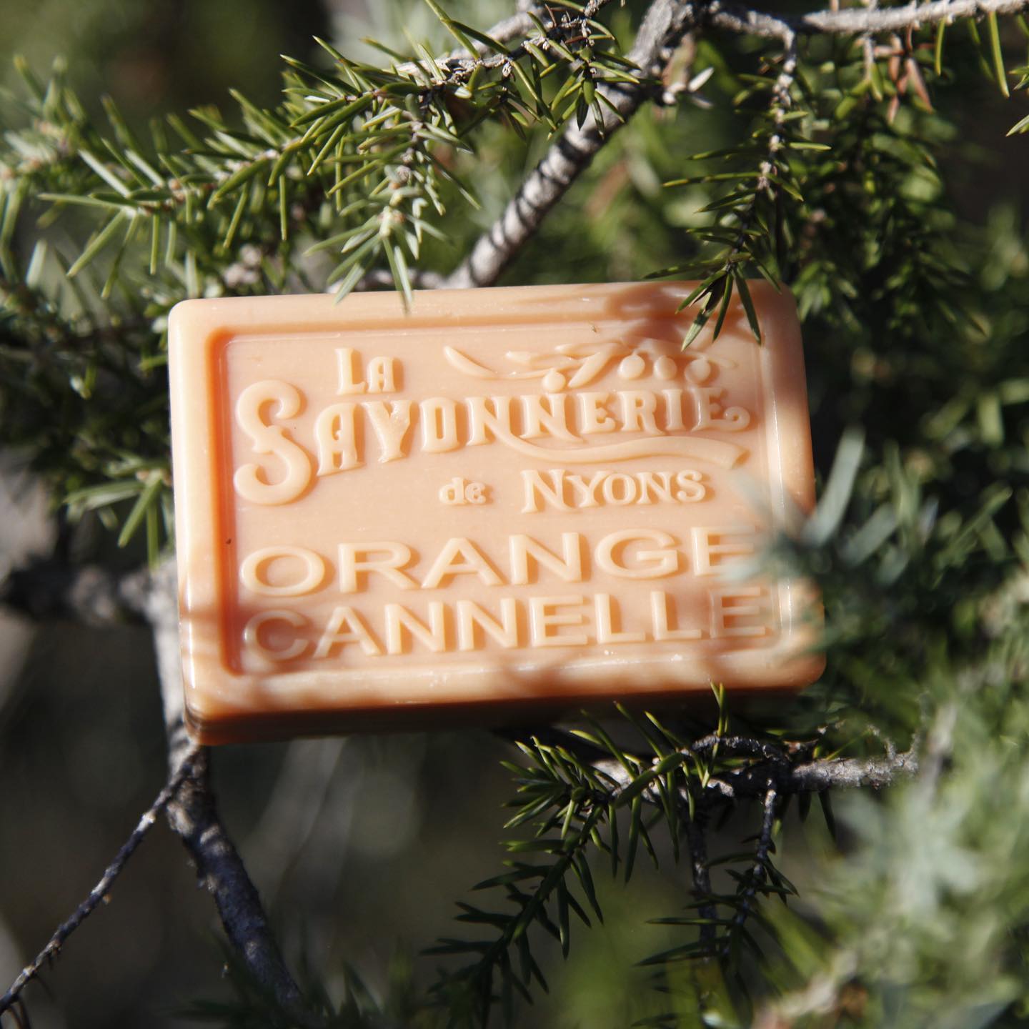 La Savonnerie de Nyons 100g Soap Bar Orange Cannelle / Cinnamon Orange Bar Soap La Savonnerie de Nyons Back in stock Bath & Body_Bar Soap Brand_La Savonnerie de Nyons KTFWHS new arrivals 2023 Savonnerie de Nyons Summer Clean Up 3800-30050CinnamonOrangeSoap100g_2_b63e179e-9c2a-4f19-aaf3-cf7ce36b3649