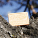 La Savonnerie de Nyons 100g Soap Bar Bar Soap La Savonnerie de Nyons Back in stock Bath & Body_Bar Soap Brand_La Savonnerie de Nyons KTFWHS new arrivals 2023 Savonnerie de Nyons Summer Clean Up 3800-30050CinnamonOrangeSoap100g_9e564eb9-2fc2-4436-a906-e649d35db2a3