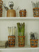 Rattan Cage Highball Glass Rattan Brand_Seagrass & Rattan Kitchen_Drinkware Rattan Spring Collection Tumblers & Highballs 3D7FBB9D-41C5-45BC-802B-50F5315FAB6C