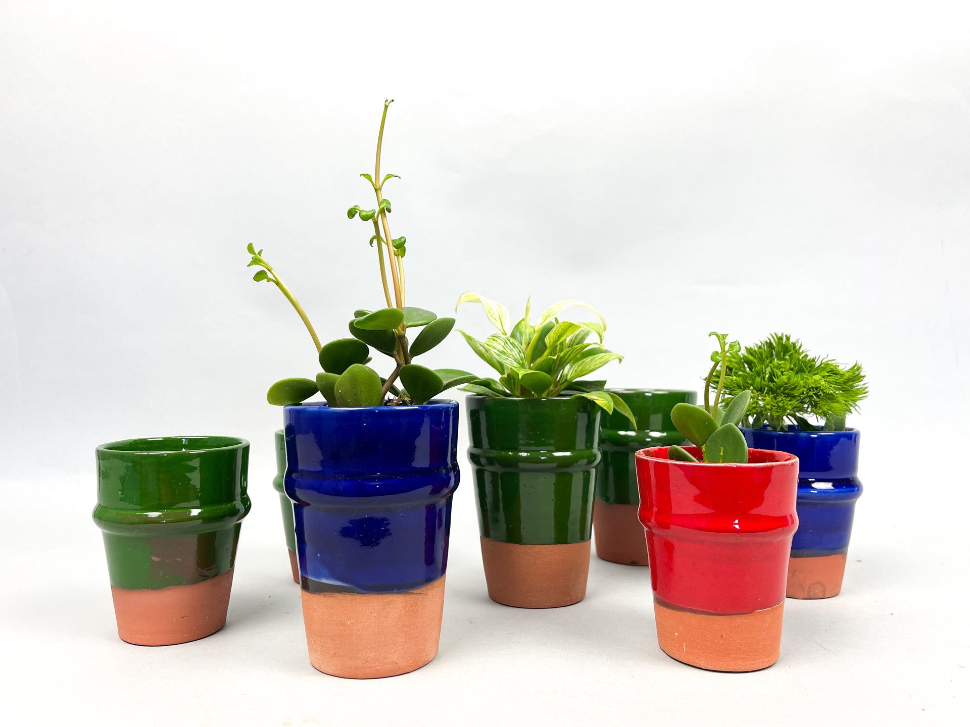 Terracotta Planters Olive Green Vases & Pots Une Vie Nomade Brand_Une Vie Nomade CLEAN OUT SALE Home_Decor KTFWHS 4EC0DDBB-8479-4AE2-AB61-FE7B315FBCBF_742300ef-2351-40f9-88fd-6cfc68979098