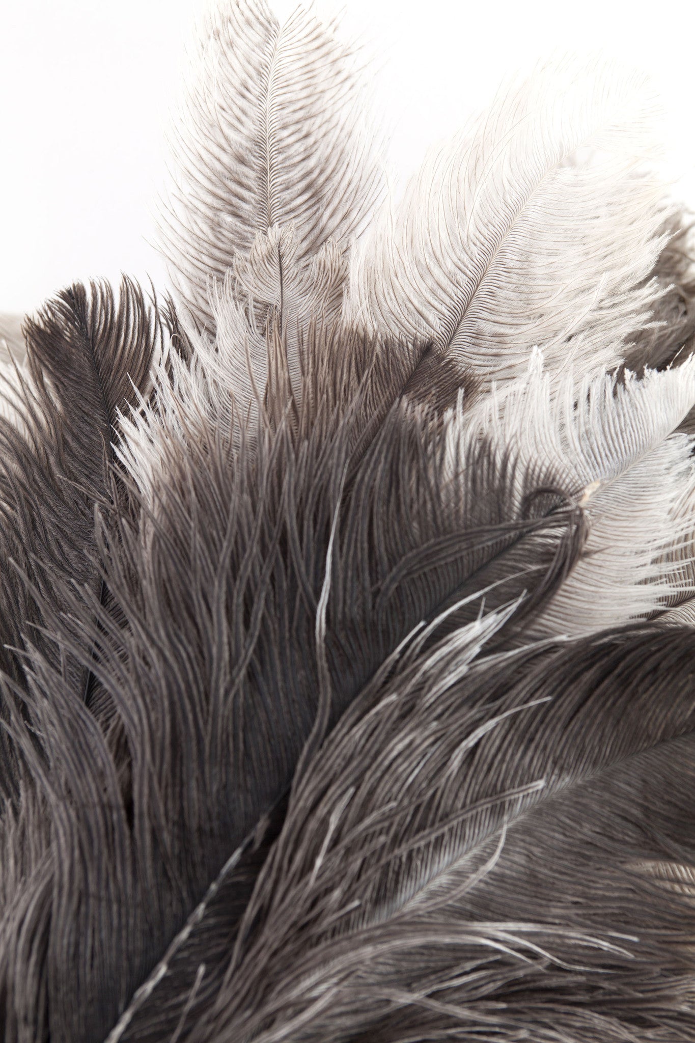 Andrée Jardin Tradition Large Duster with Leather Loop Dusters Andrée Jardin Brand_Andrée Jardin Home_Household Cleaning Home_Provençal Style 5300-1010_Large_Feather_Duster_C