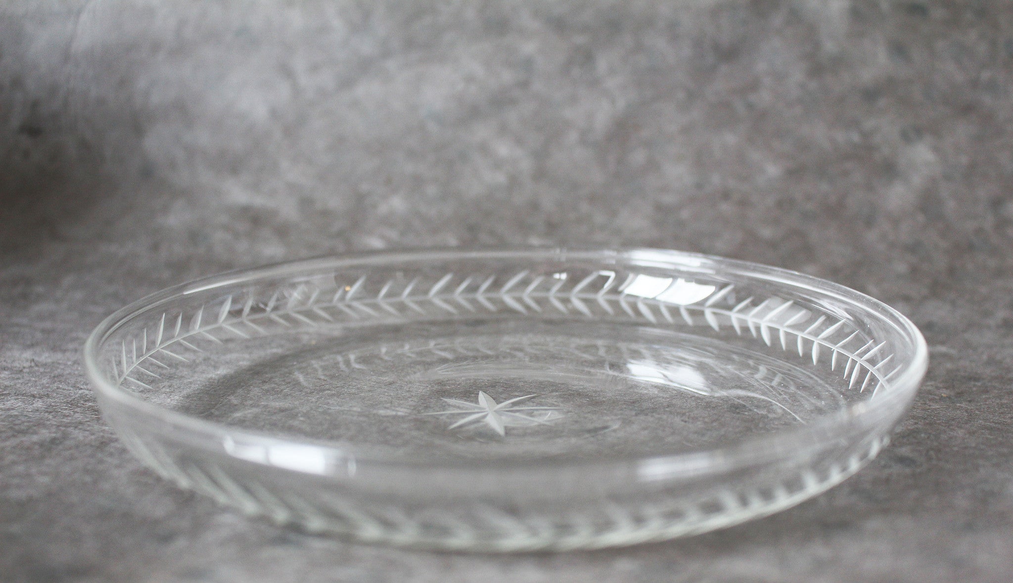Monaco Engraved Plates Collection Ends Kiss That Frog Kitchen_Dinnerware Plates Rhone 7109-6000_1