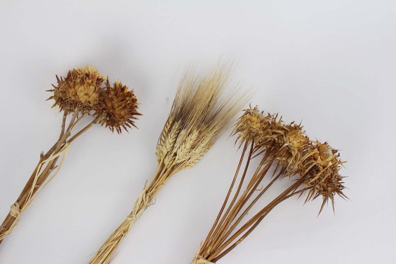 Dried Flowers Dried Flowers Une Vie Nomade Brand_Une Vie Nomade Home_Decor New Arrivals 7557E315-D0DD-4733-804B-2F55161649C6