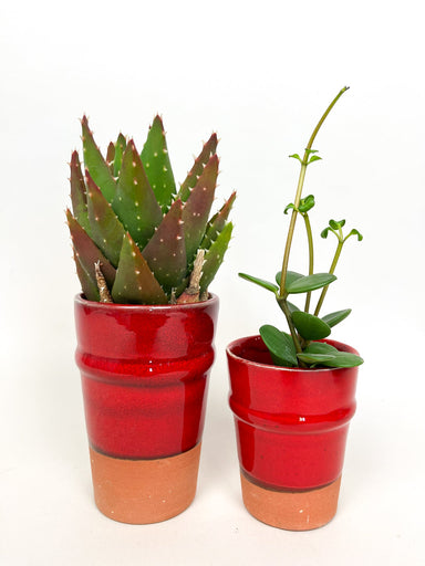 Terracotta Planters Red Vases & Pots Une Vie Nomade Brand_Une Vie Nomade CLEAN OUT SALE Home_Decor KTFWHS 907558D0-EFDE-41A2-9A1E-50ADAE3031E8