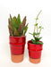 Terracotta Planters Red Vases & Pots Une Vie Nomade Brand_Une Vie Nomade CLEAN OUT SALE Home_Decor KTFWHS 907558D0-EFDE-41A2-9A1E-50ADAE3031E8