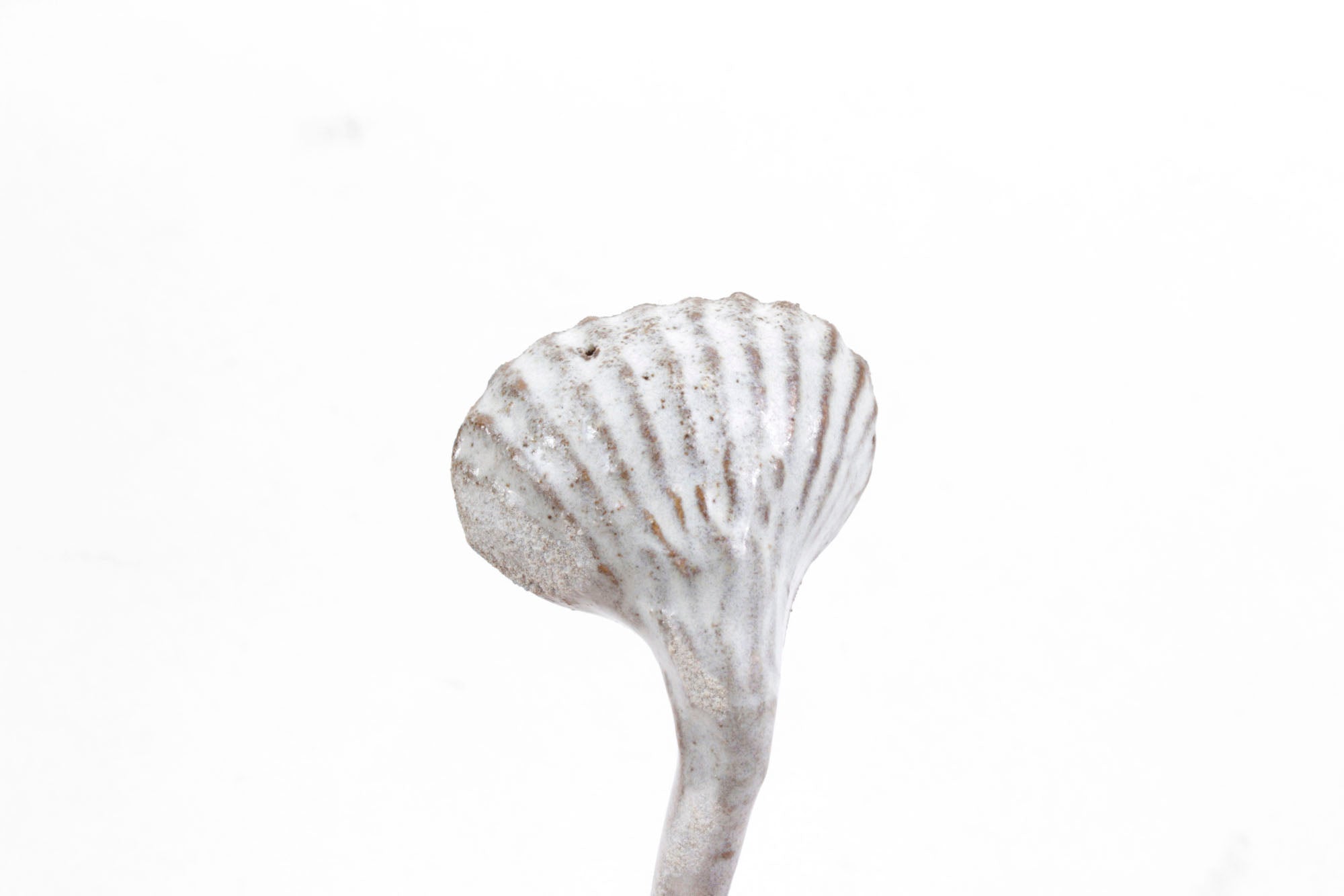 Yarnnakarn Oceanology Two Sided Shell Spoon - Ceramic - Yarnnakarn - Brand_Yarnnakarn - Home_Decor - 9800-OCT009_Two_Sided_Shell_Spoon_C