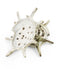 Yarnnakarn Oceanology Urchin Strainer - Ceramic - Yarnnakarn - Brand_Yarnnakarn - Home_Decor - Kitchen_Kitchenware - 9800-OCT031_Urchin_Strainer_B