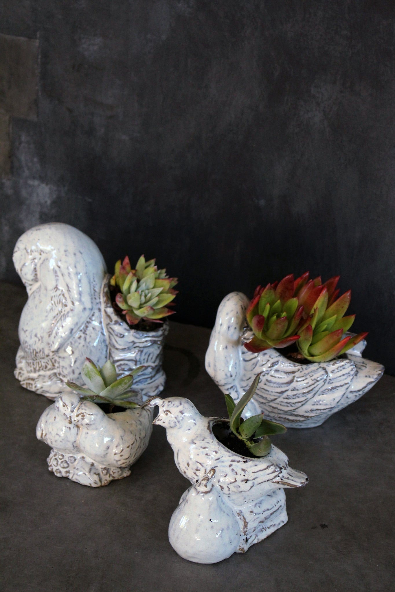 Yarnnakarn Ceramics Baby Penguin - Ceramic - Yarnnakarn - Brand_Yarnnakarn - Home_Decor - Spring Collection - 9800_PP016_PP015_PP014_PP017_a33a110c-b1a2-42bd-b499-ba058a22ce70