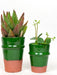 Terracotta Planters Olive Green Vases & Pots Une Vie Nomade Brand_Une Vie Nomade CLEAN OUT SALE Home_Decor KTFWHS 9F543963-D095-4536-839A-28253A70E4C3_0c08f62c-7fa9-428c-8947-ba0abc8a7d68