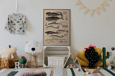 Dybdahl Animalia Poster - Whales - Art Prints - Dybdahl - Brand_Dybdahl - Home_Decor - KTFWHS - New Arrivals - Born1_5109_lille_1800x1800_d9157d98-8979-4859-9195-c14030b99aaf