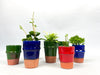 Terracotta Planters Blue Vases & Pots Une Vie Nomade Brand_Une Vie Nomade CLEAN OUT SALE Home_Decor KTFWHS CC5CB67A-F3A8-4673-B0C5-52E247882B72_9ed3dd7b-f6cf-4534-9731-452398d7c092