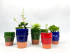 Terracotta Planters Red Vases & Pots Une Vie Nomade Brand_Une Vie Nomade CLEAN OUT SALE Home_Decor KTFWHS CC5CB67A-F3A8-4673-B0C5-52E247882B72_a58e1ce3-0bcd-4988-b186-4abd8be0ec16