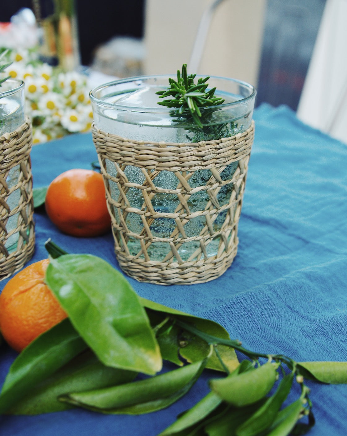 Seagrass Small Cage Tumbler — Kiss That Frog