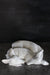 Yarnnakarn Ceramics Twin Fawns - Ceramic - Yarnnakarn - Accents - Brand_Yarnnakarn - Vases - IMG_3902