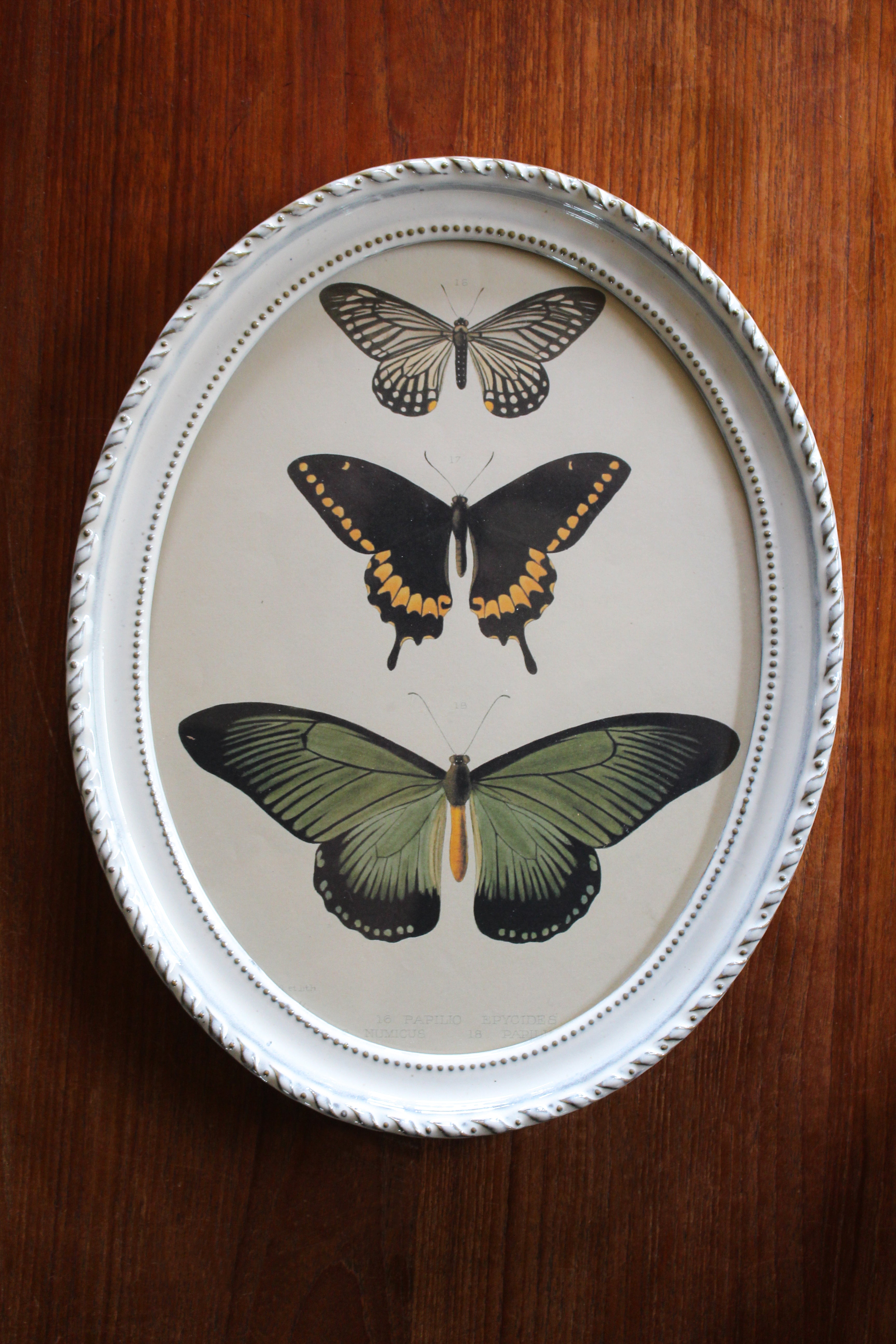 Yarnnakarn Ceramics Antique Oval Frame - Ceramic - Yarnnakarn - Brand_Yarnnakarn - Home_Decor - Spring Collection - IMG_4803_1