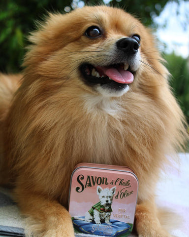 La Savonnerie de Nyons 100g Soap in Tin Box - Dogs Bath & Body La Savonnerie de Nyons 100g Soap in Tin Box Back in stock Bath & Body_Bar Soap Brand_La Savonnerie de Nyons KTFWHS LaSavonneriedeNyons_3800-30493100gSoapinTinBoxChienJackWestieDog_632a8c3c-5e28-4f94-bfd9-89c47bc40fea