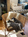 Maison Pechavy 100% Mohair Throw (Carbone) - Blankets - Maison Pechavy - Brand_Maison Pechavy - Home Decor_Blankets - Home_Decor - New Arrivals - Textiles_Throw Pillows & Blankets - MaisonPechavy100_MohairThrow_Carbone_3