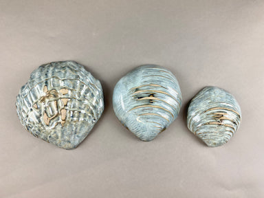 Yarnnakarn Oceanology Shell Dish Blue Glaze Small - Ceramic - Yarnnakarn - Brand_Yarnnakarn - Home_Decor - PhotoJul27_12220PM_302ad038-f941-4047-9eac-3d91f6eef9f7