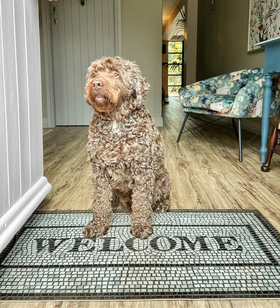 Beija Flor Mosaics: Welcome Doormat (Buy 2 Get 1 Free!) Door Mats Beija Flor Brand_Beija Flor Home_Decor Home_Door Mats Home_Floor Mats Home_Vinyl Mats WLCM-lifestyle2