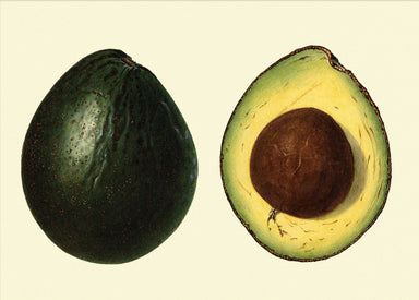 Dybdahl Poster - Avocado Open and Closed - Art Prints - Dybdahl - Brand_Dybdahl - Home_Decor - KTFWHS - New Arrivals - avocado50x70-Oak-Web-horizontal_1800x1800_5708744b-1a40-4d30-982a-b753c451a532