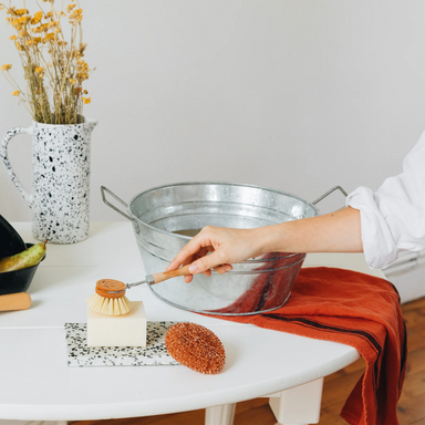 Andrée Jardin Tradition Set of 12 Handled Dish Brushes in Retail Display Box Utilities Andrée Jardin Andrée Jardin Back in stock Brand_Andrée Jardin Home_Household Cleaning Kitchen_Accessories La Cuisine Summer Clean Up dishwashing-brush-andree-jardin_1800x1800_8b0ff2e2-48d0-4ba1-bff9-1a0e1e1f4f78