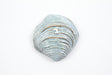 Yarnnakarn Oceanology Shell Dish Blue Glaze Small - Ceramic - Yarnnakarn - Brand_Yarnnakarn - Home_Decor - oct050