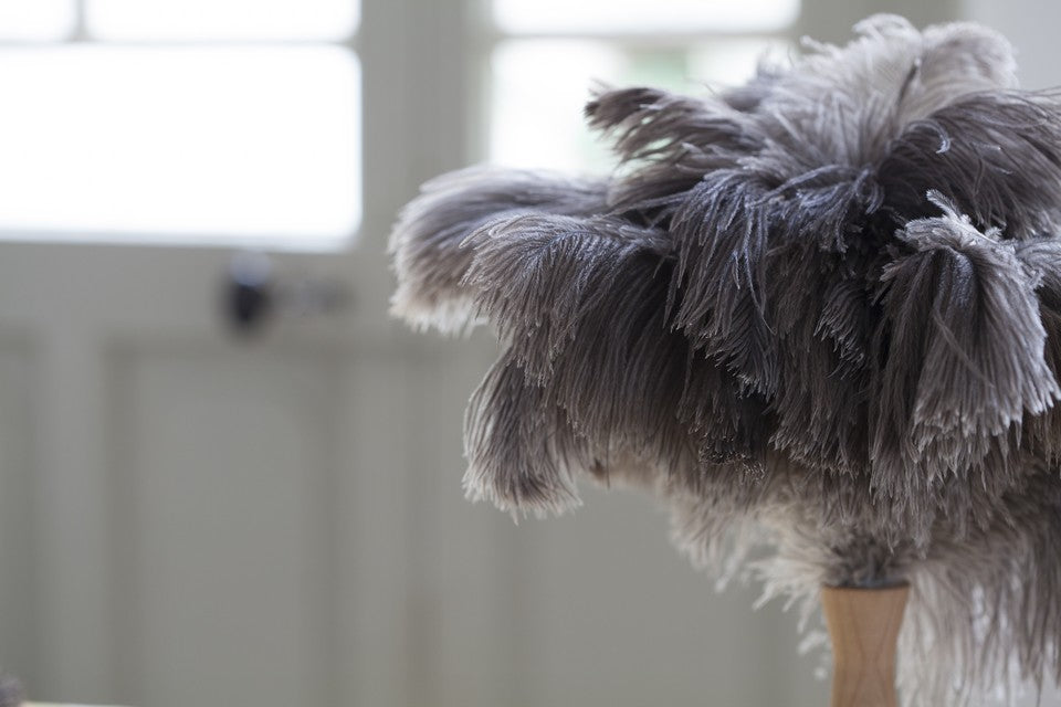 Andrée Jardin Tradition Small Duster Head Dusters Andrée Jardin Brand_Andrée Jardin Home_Household Cleaning Home_Provençal Style petit-plumeau-tradition-s1-1011