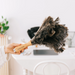 Andrée Jardin Tradition Small Duster Head Dusters Andrée Jardin Brand_Andrée Jardin Home_Household Cleaning Home_Provençal Style petit-plumeau_1800x1800ANDREEJARDINSMALLHANDLEDFEATHERDUSTEROSTRICH