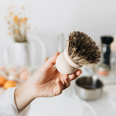 Andrée Jardin Tradition Saucepan Brushes in Display Box (Set of 10) Utilities Andrée Jardin Andrée Jardin Back in stock Brand_Andrée Jardin Home_Household Cleaning Kitchen_Accessories La Cuisine saucepanbrush-andree-jardin-1819_1800x1800_347ea6e9-a219-44ef-b2cd-451686fa9072