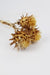 Dried Flowers Thistle Dried Flowers Une Vie Nomade Brand_Une Vie Nomade Home_Decor New Arrivals wholesaledriedflowers